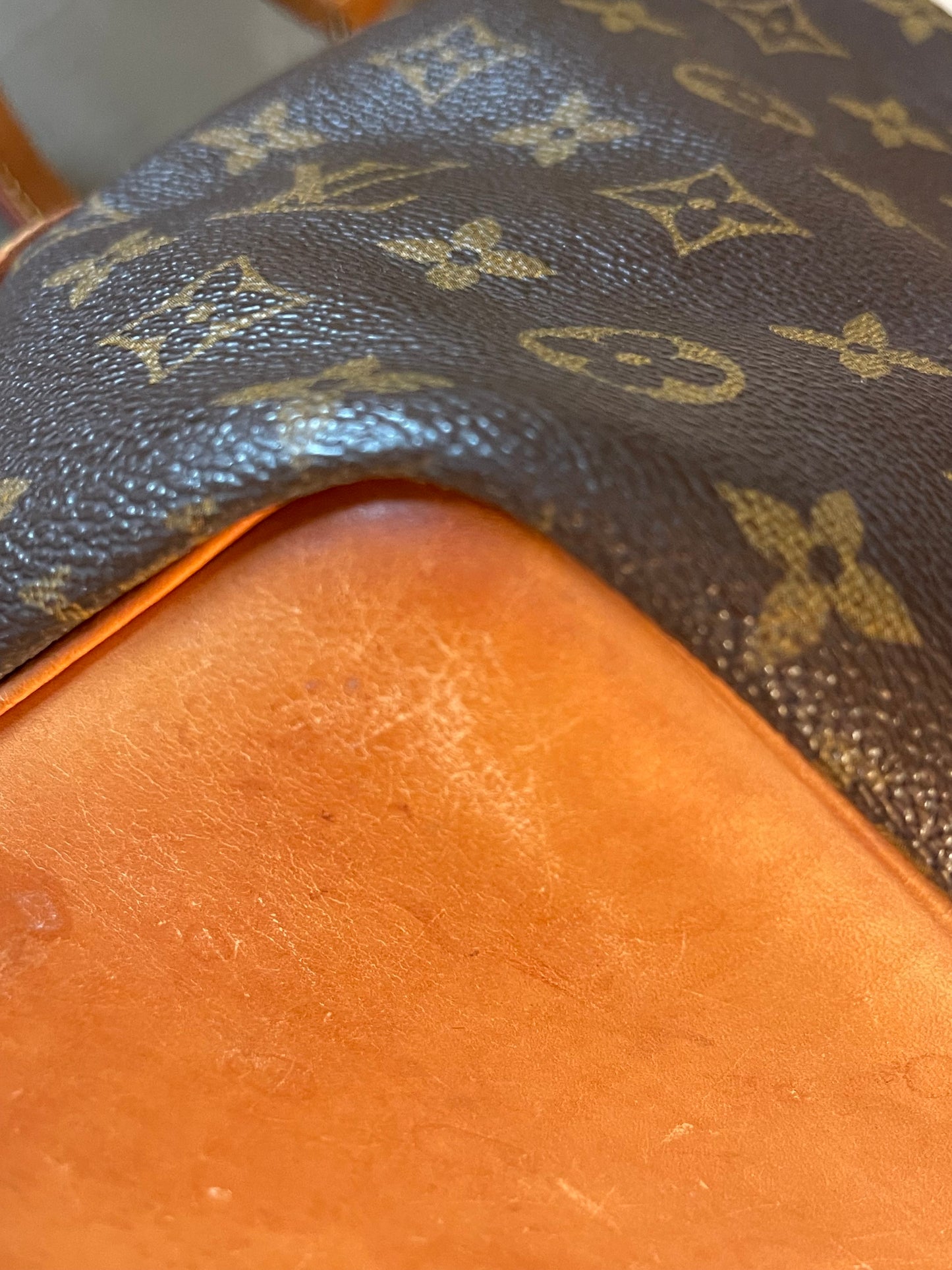 Louis Vuitton Petite Noe