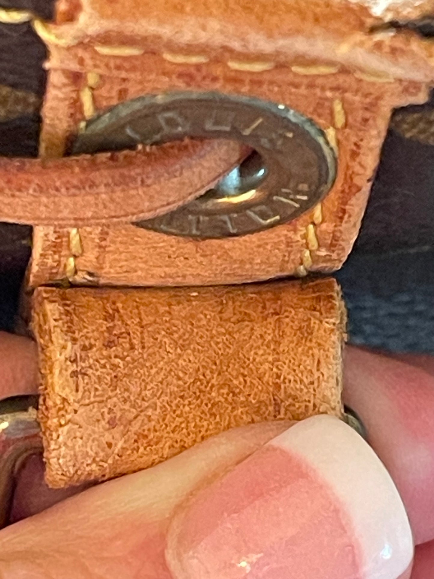 Louis Vuitton Petite Noe