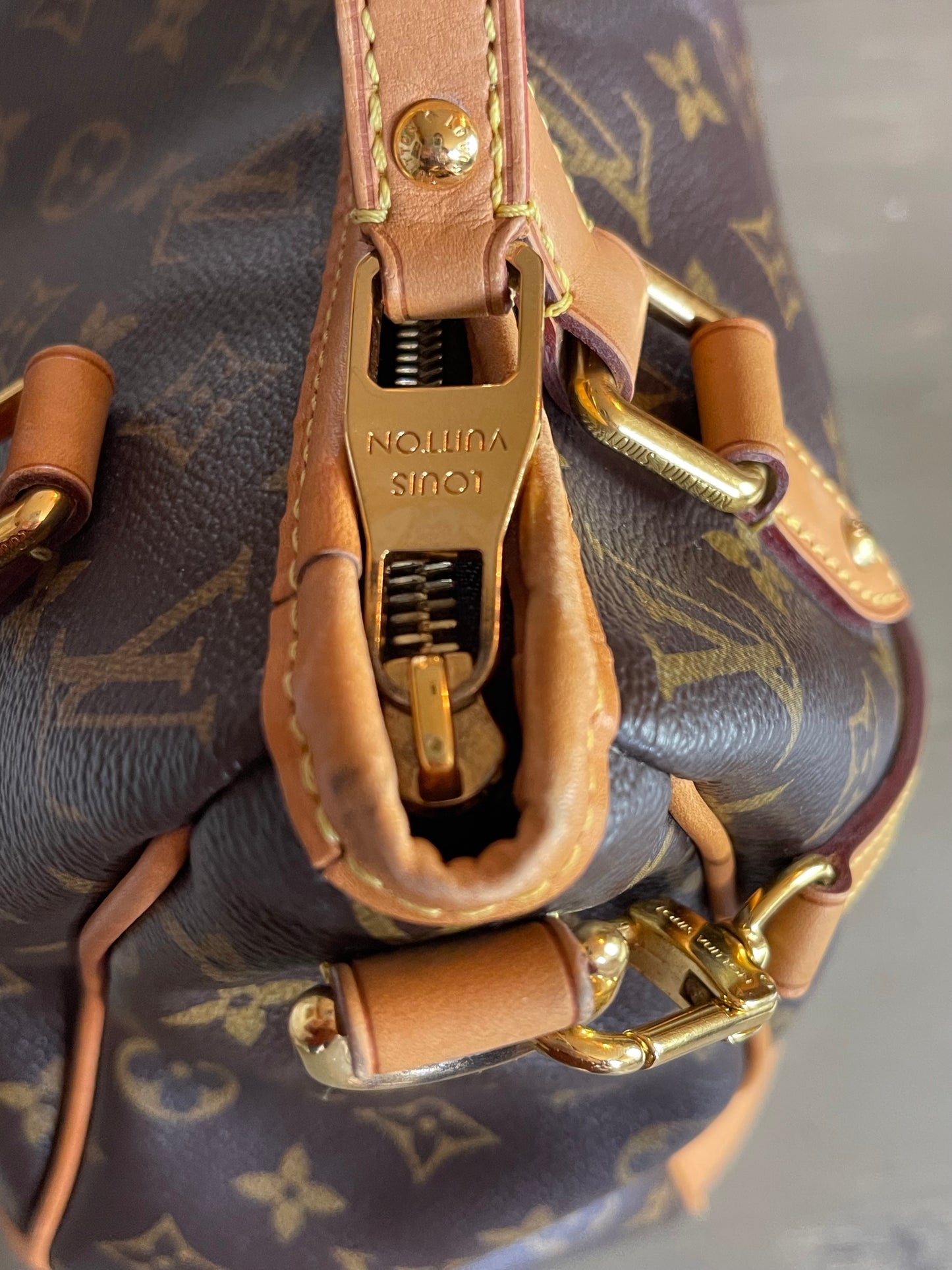 Louis Vuitton Estrella MM - Monogram